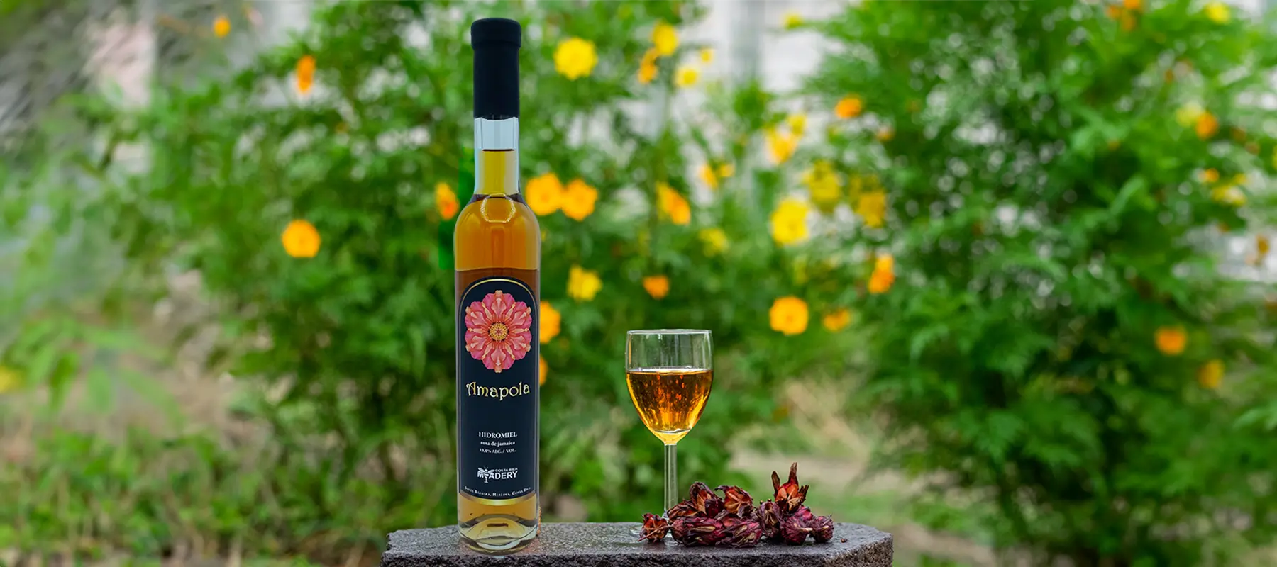 AMAPOLA - honey wine with hibiscus flowers