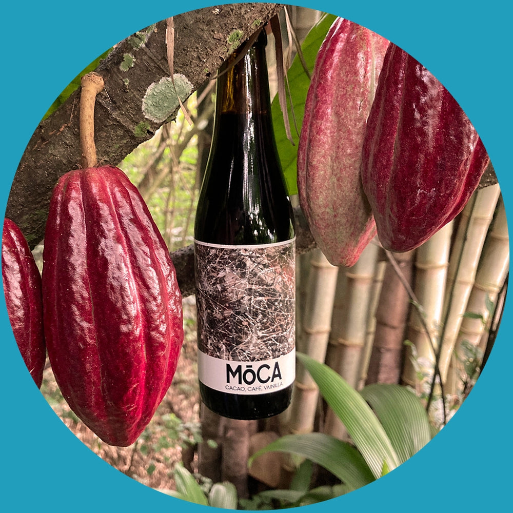 MOCA - a sparkling mead with cacao, coffee, and vanilla.
