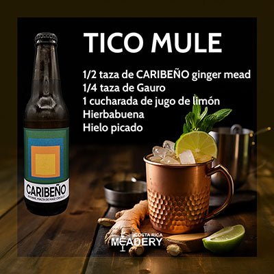 CARIBEÑO - Ginger Mead - Costa Rica Meadery